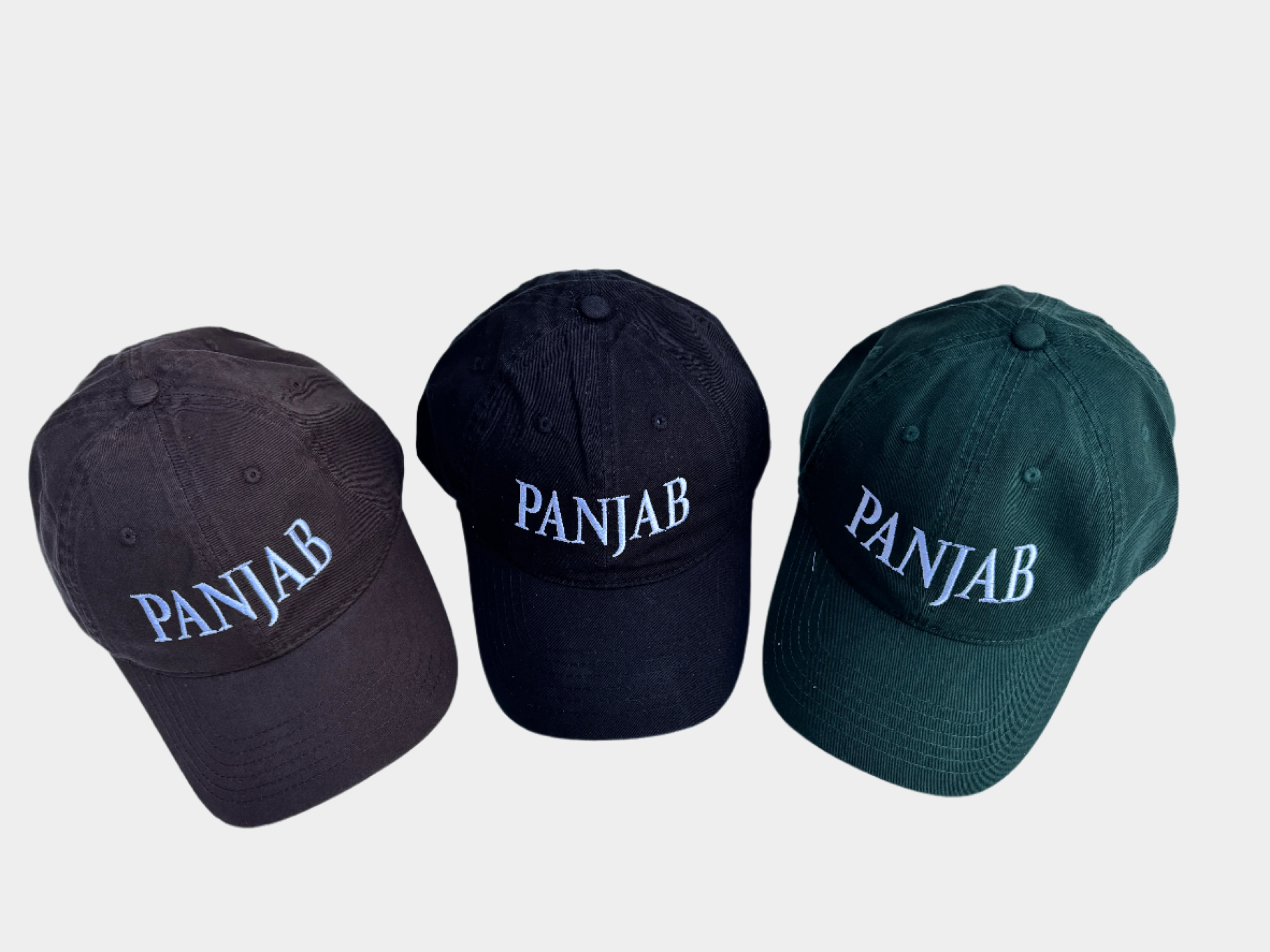 White Embroidered Panjab Cap - Brown